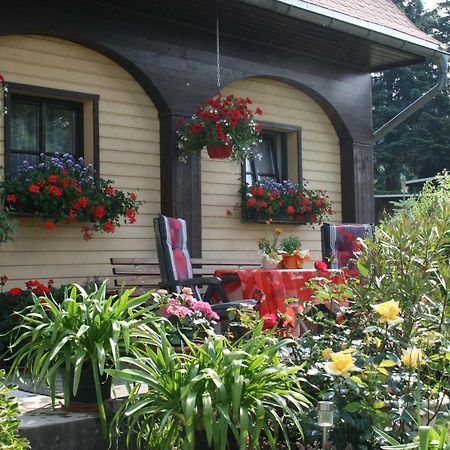 Ferienwohnung Hesse Am Wachberg Saupsdorf 外观 照片