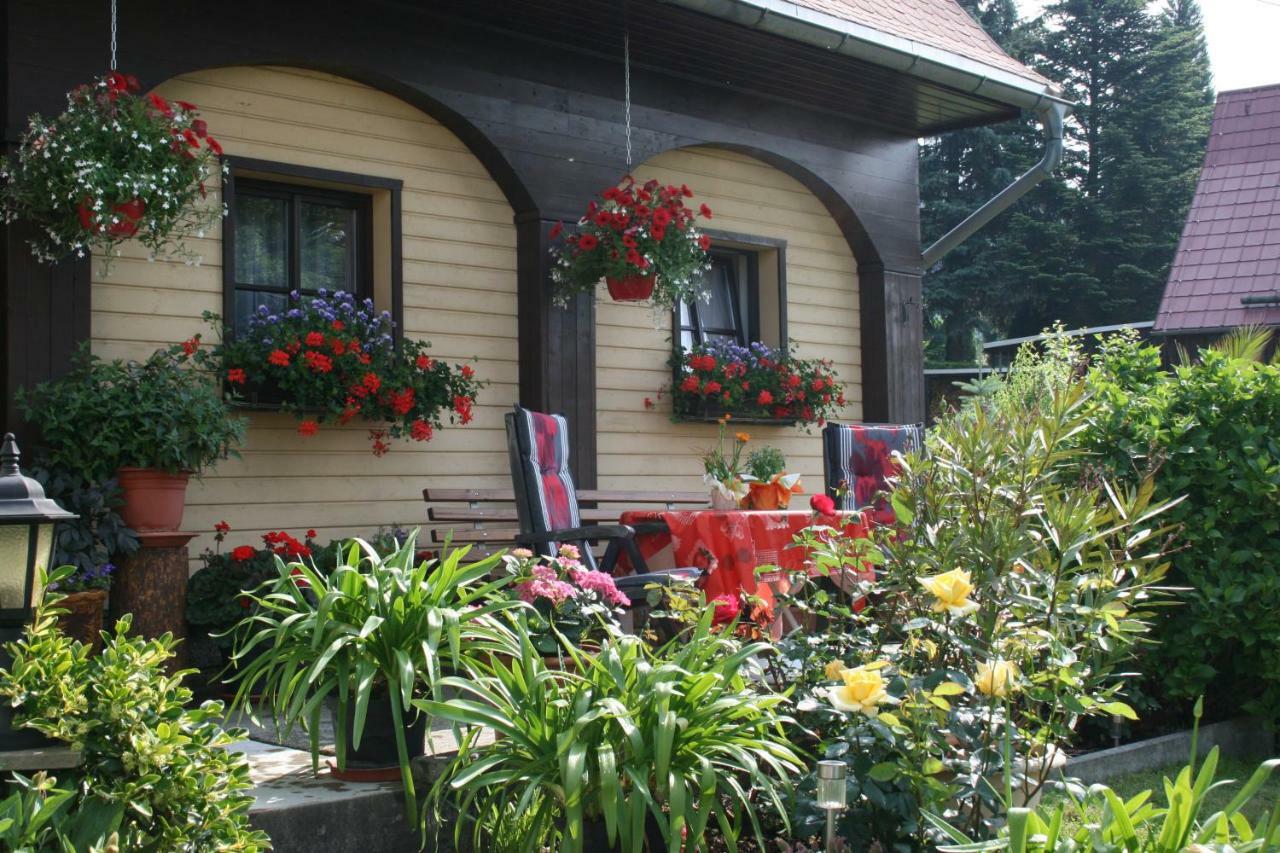 Ferienwohnung Hesse Am Wachberg Saupsdorf 外观 照片